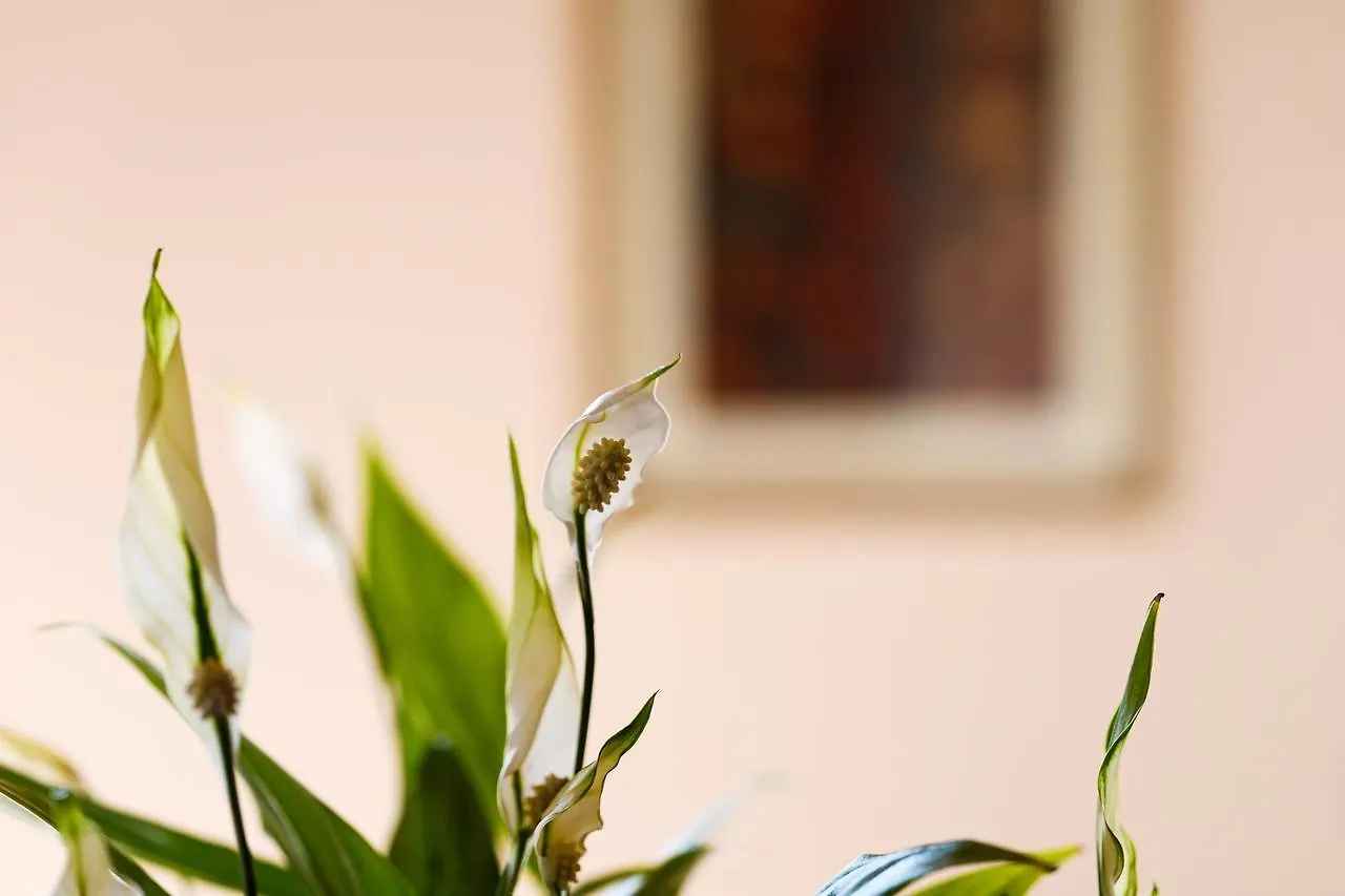 Il Castellaro Bed & Breakfast Borghi Italy
